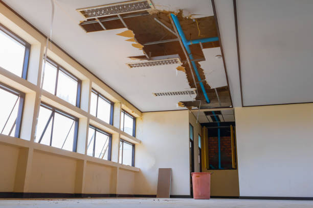 Best Water damage cleanup near me  in Pilot Mountain, NC