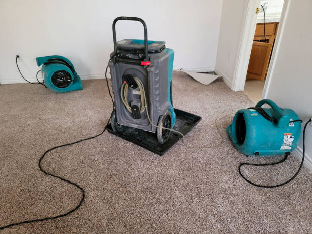 Best Professional water damage repair  in Pilot Mountain, NC