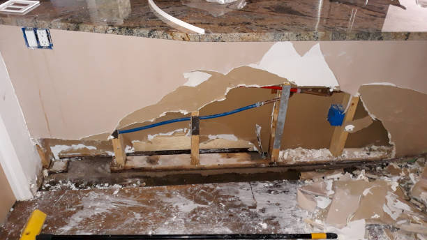 Best Carpet water damage restoration  in Pilot Mountain, NC