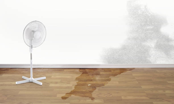 Best Fire Damage Restoration  in Pilot Mountain, NC