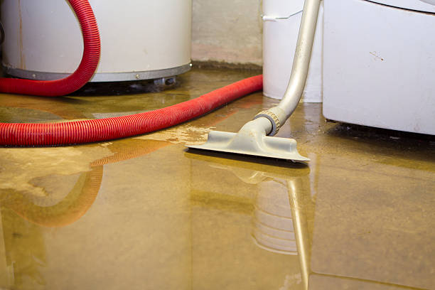 Reliable Pilot Mountain, NC Water damage restoration Solutions