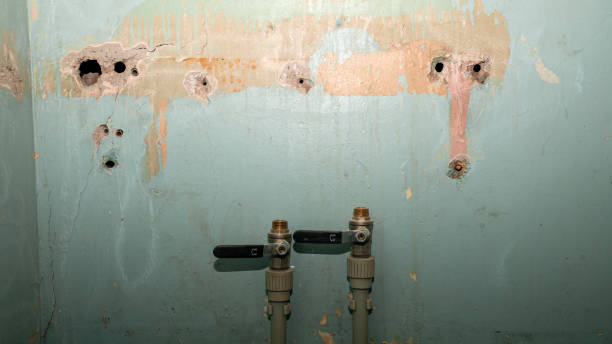 Best Basement water damage restoration  in Pilot Mountain, NC