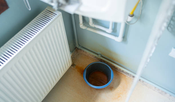 Best Water damage cleanup near me  in Pilot Mountain, NC