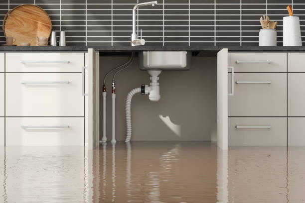 Professional Water damage restoration in Pilot Mountain, NC