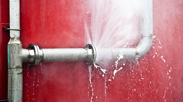 Best Flooded house restoration  in Pilot Mountain, NC