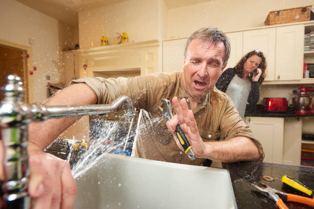 Best Flood restoration services  in Pilot Mountain, NC